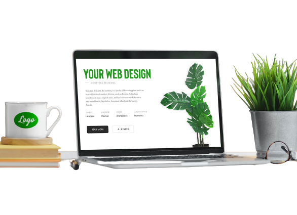 Custom Website Designing in Delhi